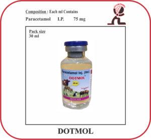 DOTMOL Paracetamol Injection Manufacturer