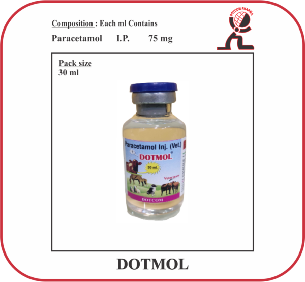 DOTMOL Paracetamol Injection