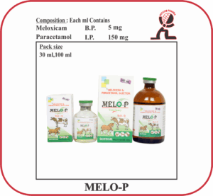 MELO-P Injection – Meloxicam & Paracetamol Veterinary Injection (30ml & 100ml)