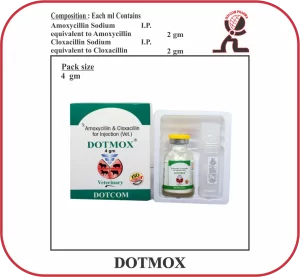 DOTMOX Dry Injection – Amoxicillin & Cloxacillin Veterinary Antibiotic