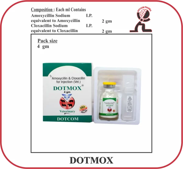 Dots Injection DOTMOX Dry Injection – Amoxicillin & Cloxacillin Veterinary Antibiotic ...