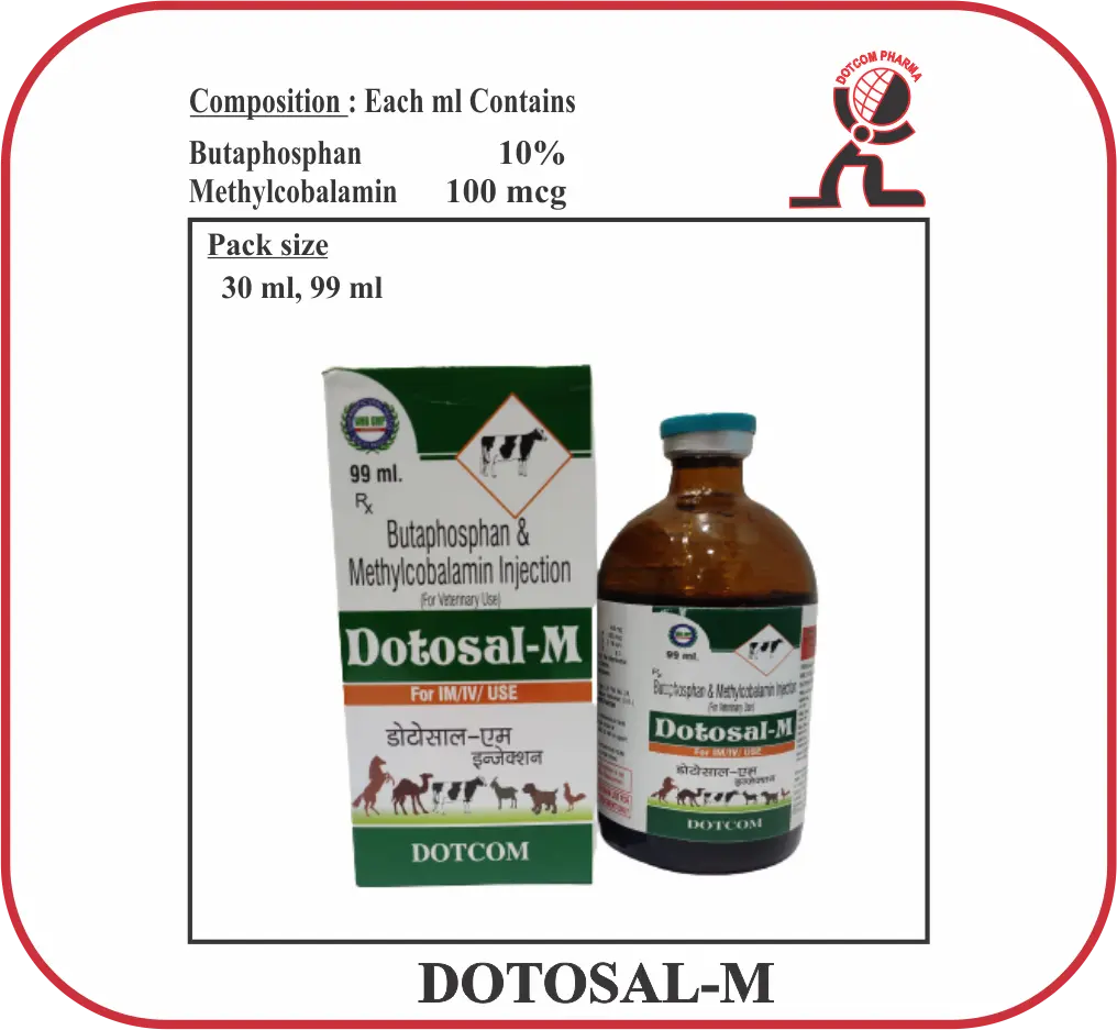 DOTOSAL-M Butaphosphan 100mg + Methylcobalamin 100mcg veterinary injection (Dotcom Pharma)