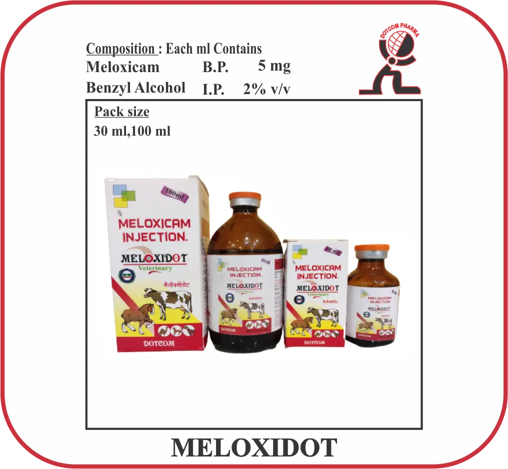 MELOXIDOT Meloxicam Veterinary Injection for Pain and Inflammation in Animals