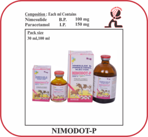 NIMODOT-P Nimesulide & Paracetamol Injection Manufacturer