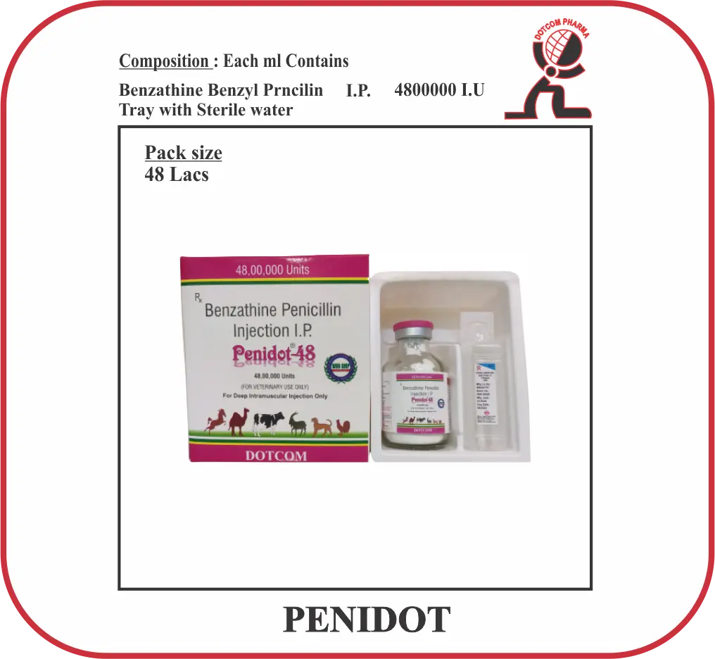 PENIDOT 48 LAC Benzathine Penicillin Veterinary Injection for Livestock