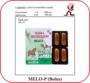 MELO-P Bolus – Meloxicam & Paracetamol Veterinary Bolus