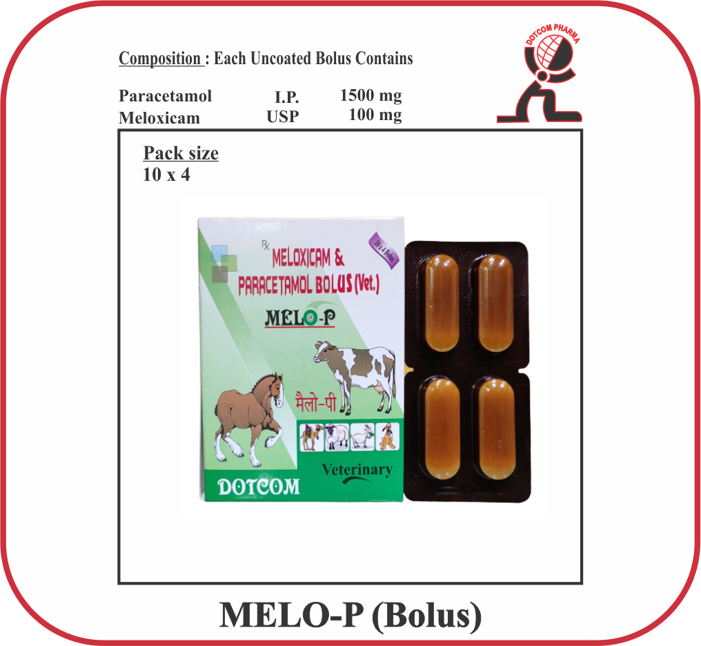 MELO-P Bolus Meloxicam Paracetamol Veterinary Bolus