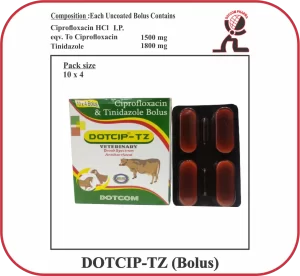 DOTCIP-TZ Bolus – Ciprofloxacin & Tinidazole Veterinary Bolus Manufacturer