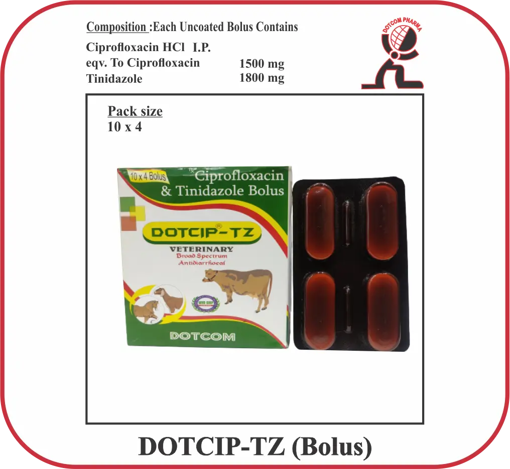 DOTCIP-TZ Bolus – Ciprofloxacin & Tinidazole Veterinary Bolus for Gastro-Intestinal Infections
