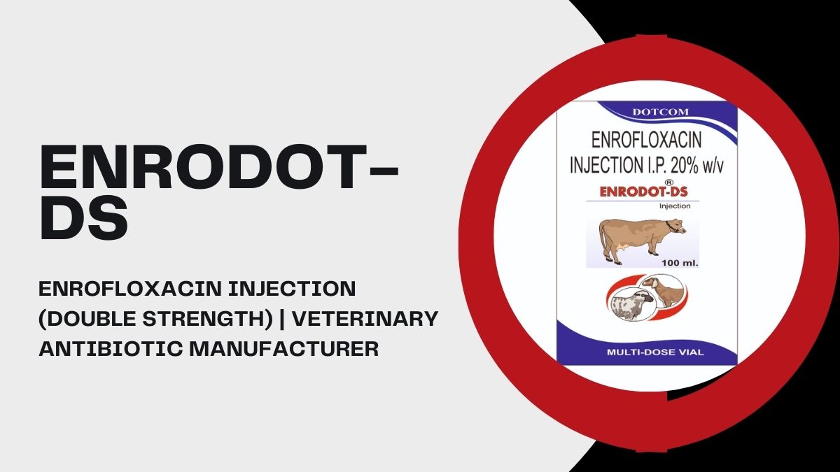 You are currently viewing Enrofloxacin Injection in Veterinary Medicine: Uses, Benefits & Why ENRODOT-DS Double Strength Matters