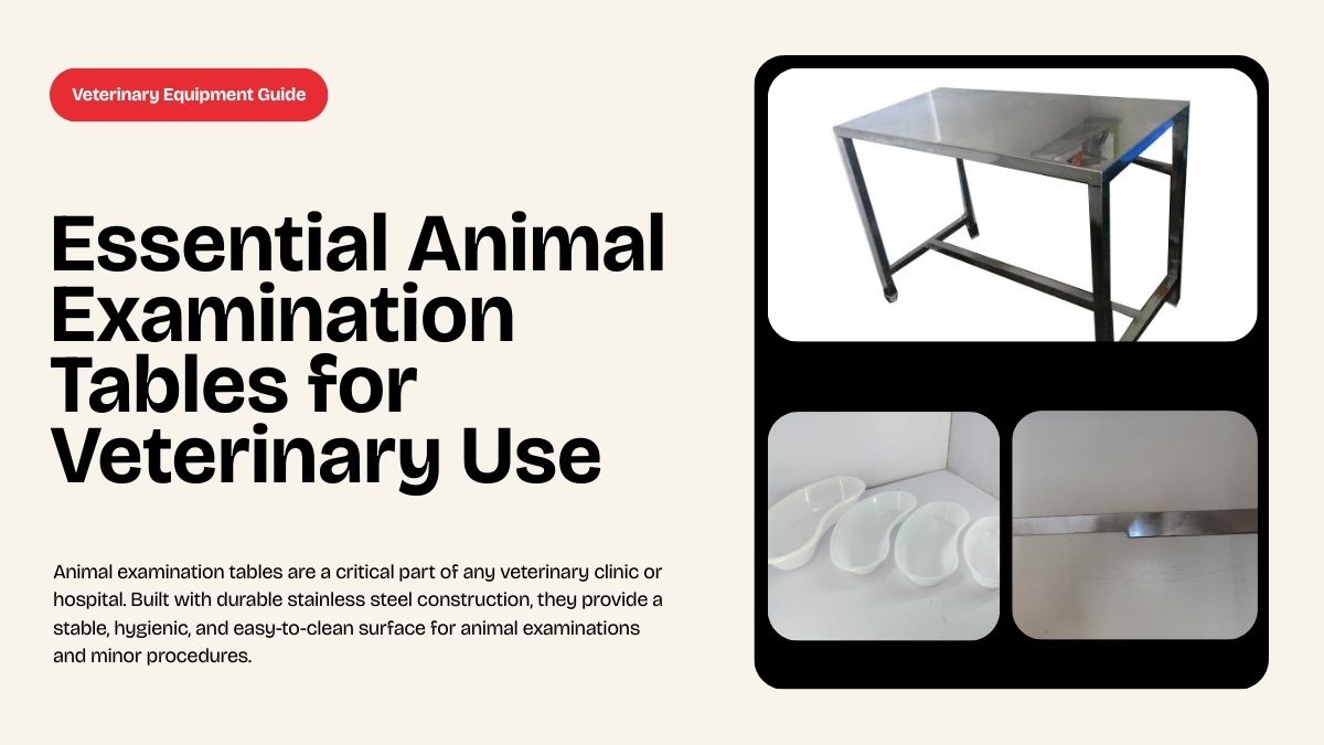 You are currently viewing Essential Veterinary Surgical Instruments Every Clinic Must Have